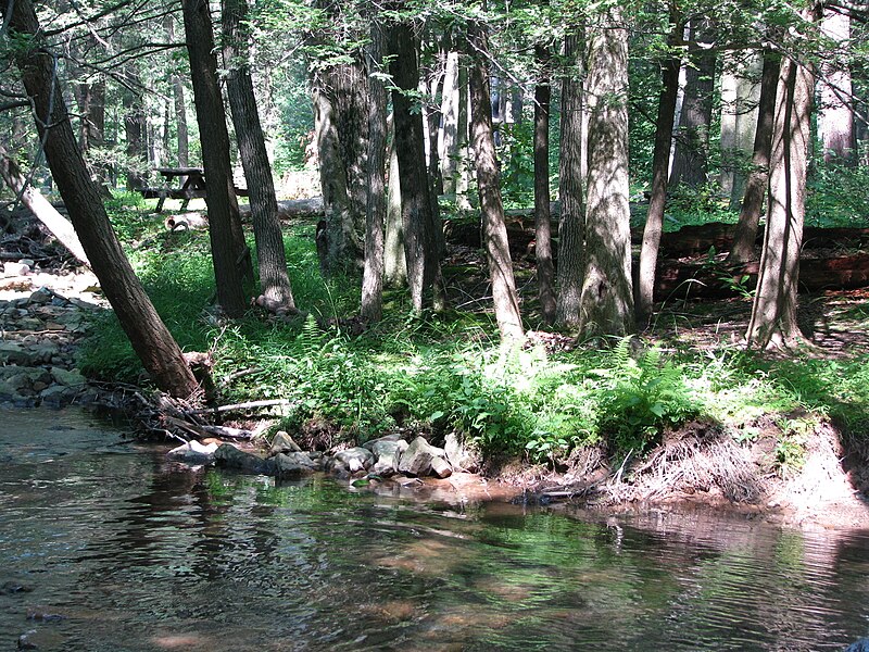 File:Fowlers Hollow State Park.jpg