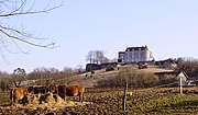 Vignette pour Château de Montréal (Issac)