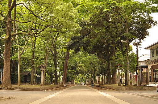 Front approach of the Hikawa shrine