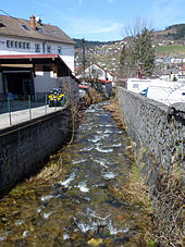 Pârâul Forgotte la podul Forgotte (Gérardmer).