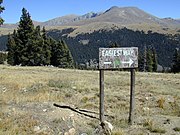 A weathered wooden trail sign.