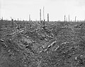 An abandoned German trench in Delville Wood near Longueval, Somme, France during the Battle of the Somme.