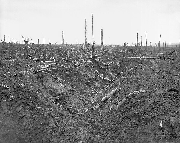 Abandoned German trench in Delville Wood, September 1916