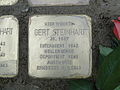 image=File:Gert_Steinhart_Stolperstein_Dresden.JPG