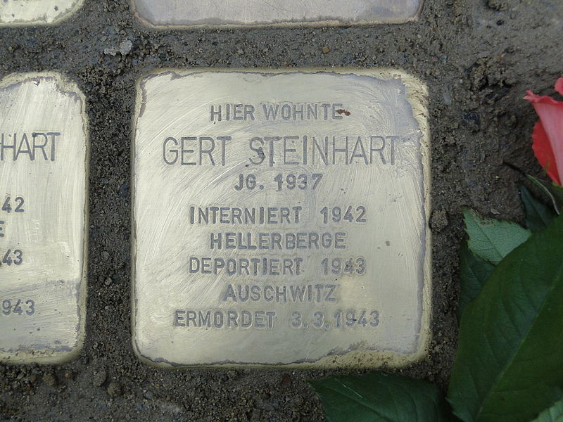 Datei:Gert Steinhart Stolperstein Dresden.JPG