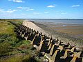 * Nomination Grain, Kent, England. World War 2 anti-tank obstacles on the foreshore.Wikidata has entry Q26672332 with data related to this item. --Michael Coppins 09:09, 9 December 2016 (UTC) * Promotion Good quality. --Clemens Stockner 09:44, 9 December 2016 (UTC)