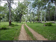 Griffiths Creek Campground, Kroombit Tops National Park.jpg