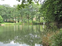 13 Eichen am Hüttenteich Lerbach