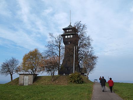 Hagbergturm 2010