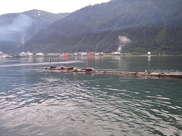 Diesel smoke from cruise ships over Juneau, Alaska. In the foreground are harbor seals floating on the Douglas breakwater.