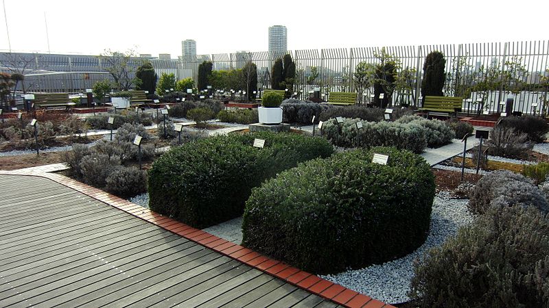 File:Herb garden of National Museum of Nature and Science Tokyo 01.jpg
