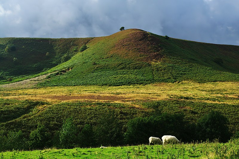 File:Hole of horcum mit sheep and trees.jpg