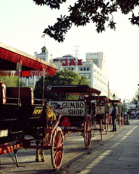 File:Horses and buggies waiting for fares in front of Jackson Square, New Orleans, Louisiana LCCN2011634566.tif