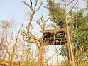 Hut used for living by the TOTO aboriginals.jpg