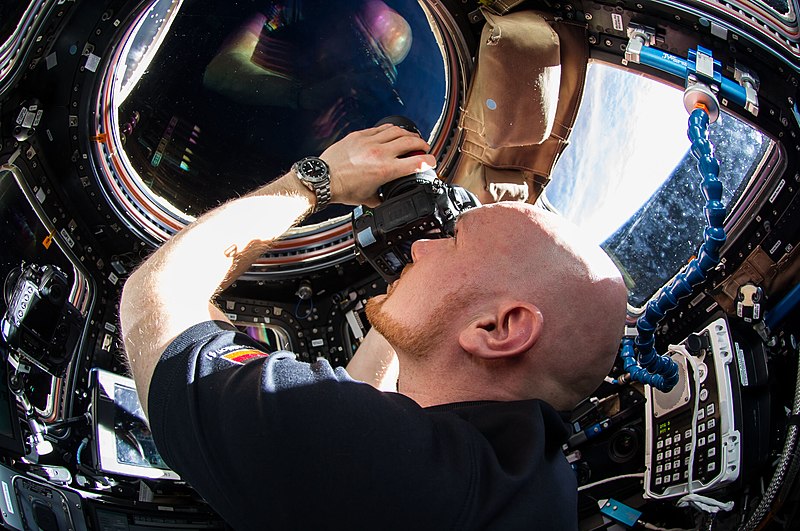 File:ISS-41 Alexander Gerst in the Cupola.jpg