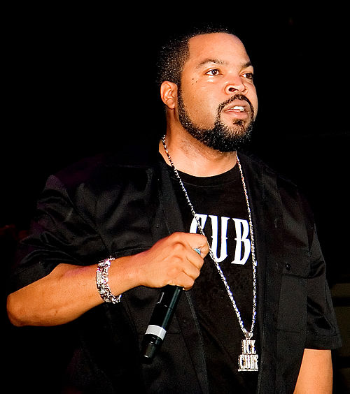 Hip hop artist Ice Cube (pictured) is one of the artists that make a cameo appearance in the music video for "Soldier".