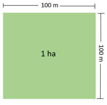 Illustration of One Hectare.png