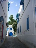 Sličica za Sidi Bou Said