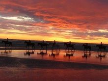 Horse riding along the Po Delta.