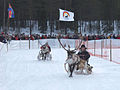 Rentierschlittenrennen auf dem Talvatis-See