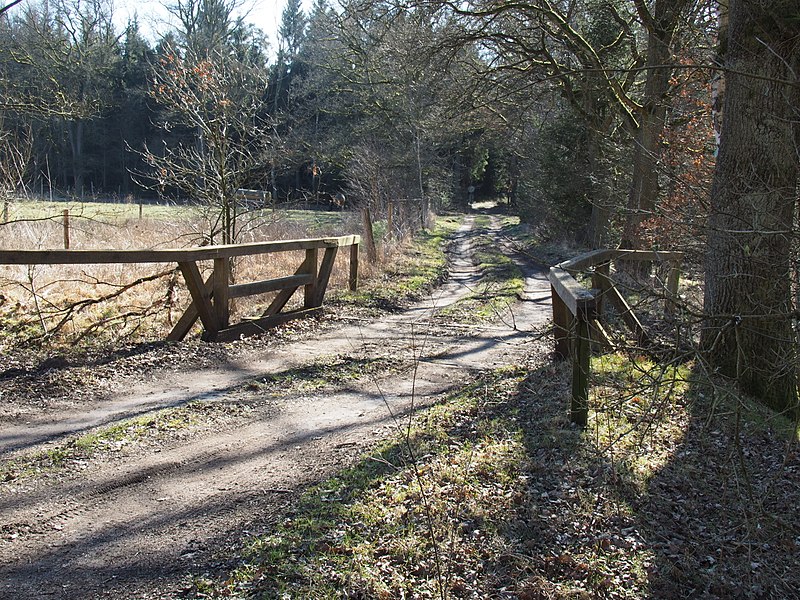 File:KZ Außenlager Tannenberg Anfahrtsweg@20180319 14.jpg