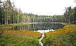 Pienoiskuva sivulle Kaakkolammi (Kuhmoinen, Kylämä)