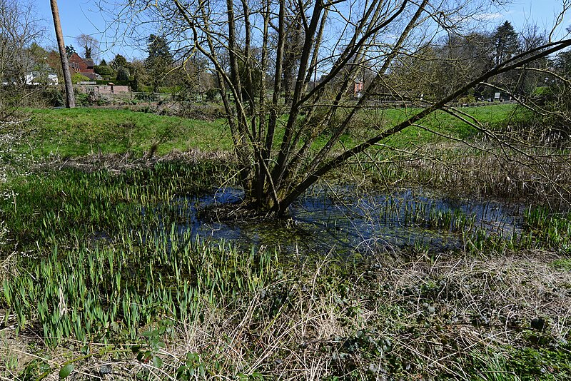 File:Kenilworth Castle, Boggy ground seen from the footpath next to the stable block - geograph.org.uk - 4948757.jpg