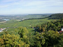 Strates du Keuper avant la côte de Löwenstein avec vignobles.