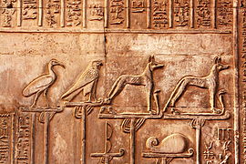 Kom Ombo 0347.JPG