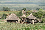 Vignette pour Konso (woreda)