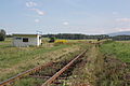 Vlak z Frýdlantu do Jindřichovic pod Smrkem za železniční zastávkou Krásný Les bažantnice.