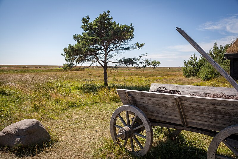 File:Læsø saltsyderi (11).jpg