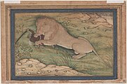 Ein Löwe greift einen Jäger an. Free Library of Philadelphia.