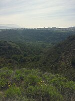 Arroyo Conejo Open Space