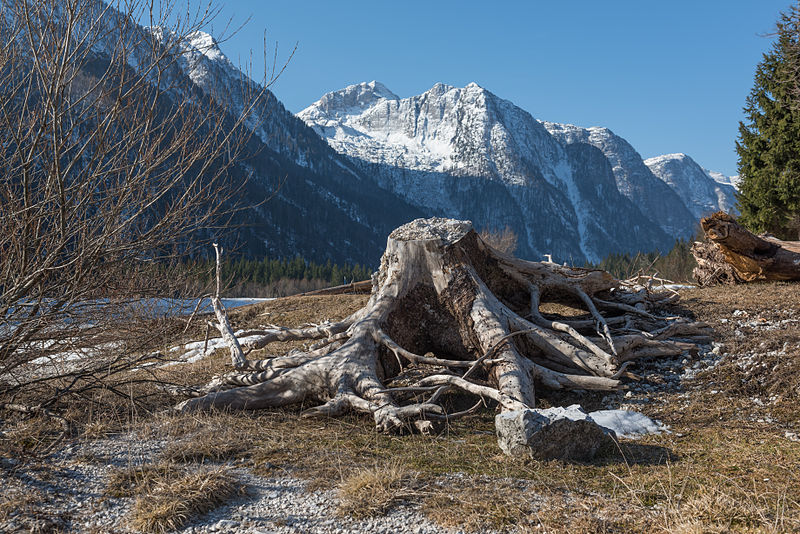 File:Lago del Predil Strunk und Monte Canin 10032015 0506.jpg