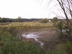 Laguna u Bohdalova