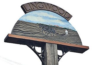 <span class="mw-page-title-main">Lingwood and Burlingham</span> Civil parish in the English county of Norfolk