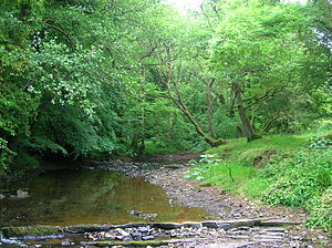 The Little Sorn Burn. Little Sorn and Cessnock Water.JPG