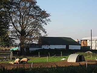 <span class="mw-page-title-main">Fordhall Farm</span> Organic farm in Shropshire, England
