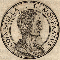 Portrét Luciuse Junius Moderatus Columella od Jean de Tournes, Insignium alikvotní virorum icones, Lyon, 1559