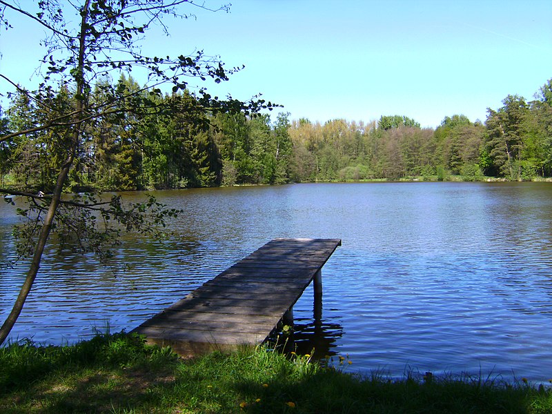 File:Luderweiher - panoramio.jpg