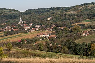 Maladia vazuta de pe dealul Casa Mosului