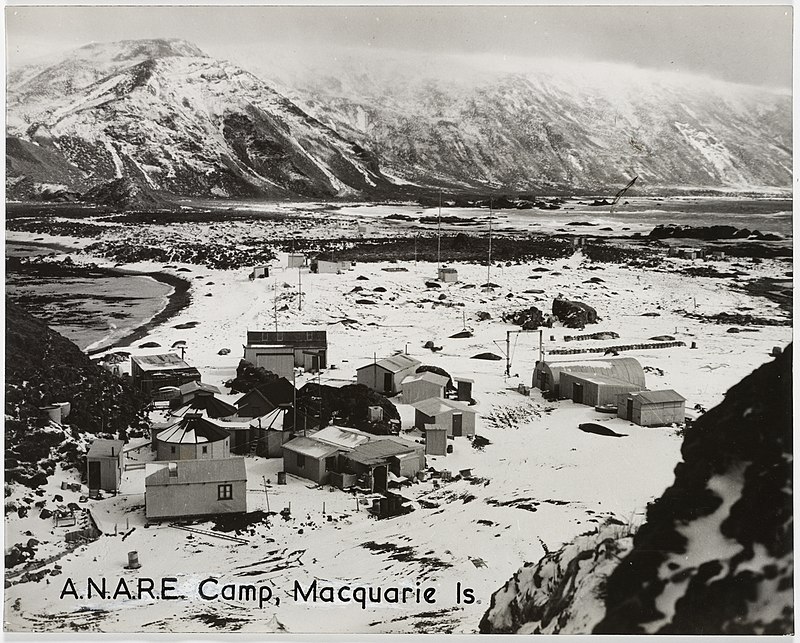 Macquarie Island - Wikipedia