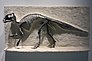 Støpt av et Maiasaurus-fossil