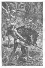 Útok orangutana na kresbě z roku 1869