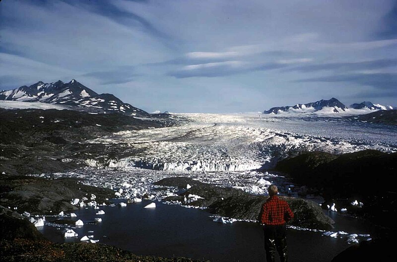 File:Man standing at the top of glacier and looking.jpg