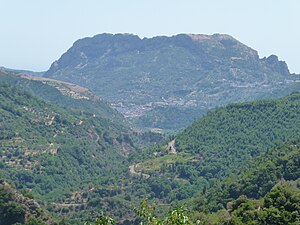 Monte Mammicomito