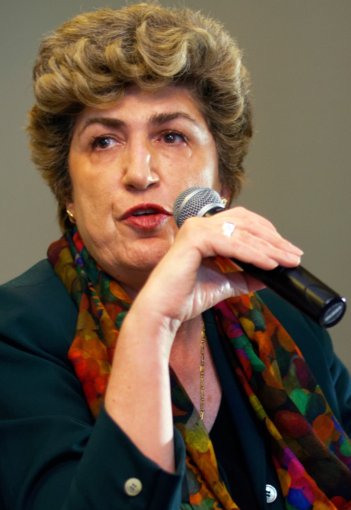 Maria João Rodrigues — Wikipédia