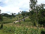 Un marché à Delatte