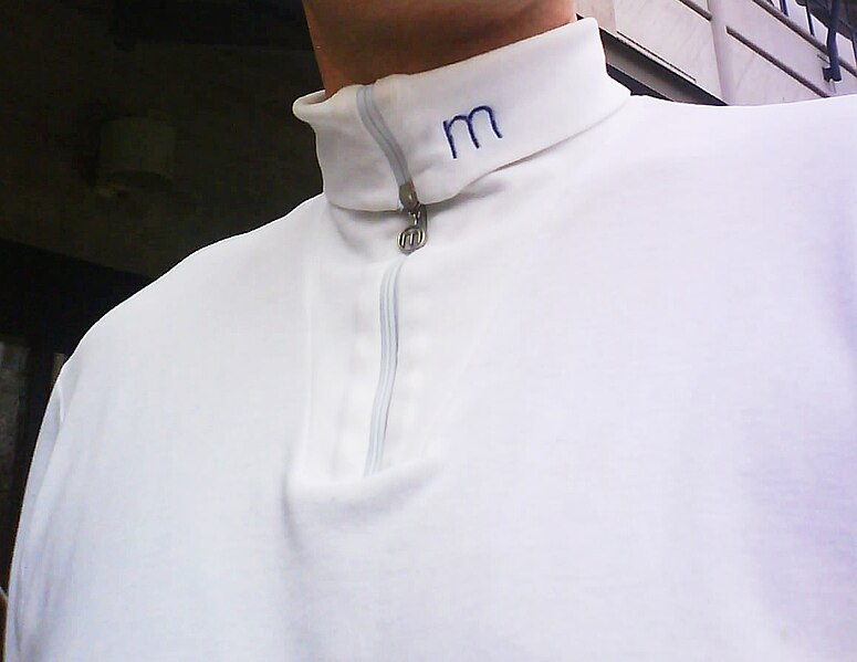 File:Maserturtleneck.JPG